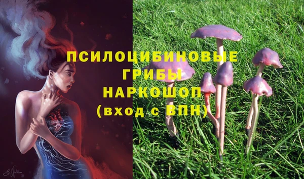 шишки Алексеевка