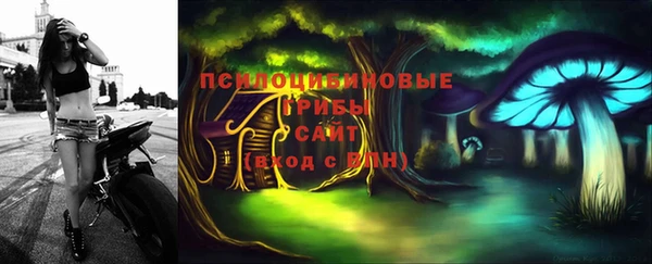 шишки Алексеевка
