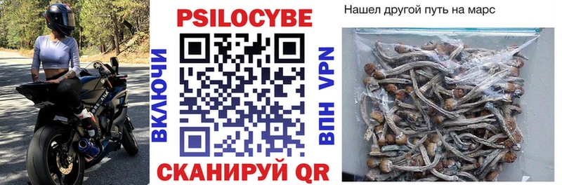 Галлюциногенные грибы ЛСД купить цена Чадан