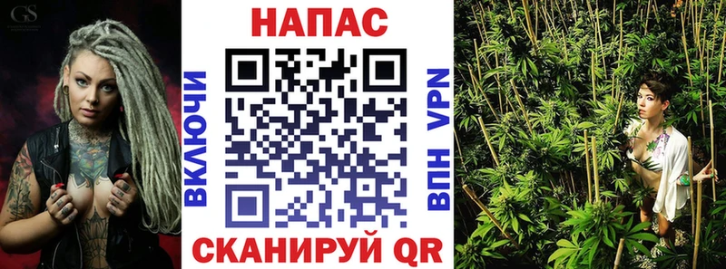 Бошки Шишки конопля Чадан