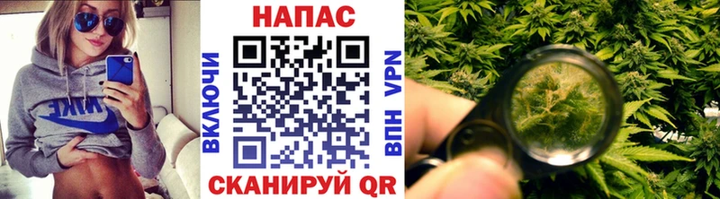 Бошки Шишки White Widow  Чадан 